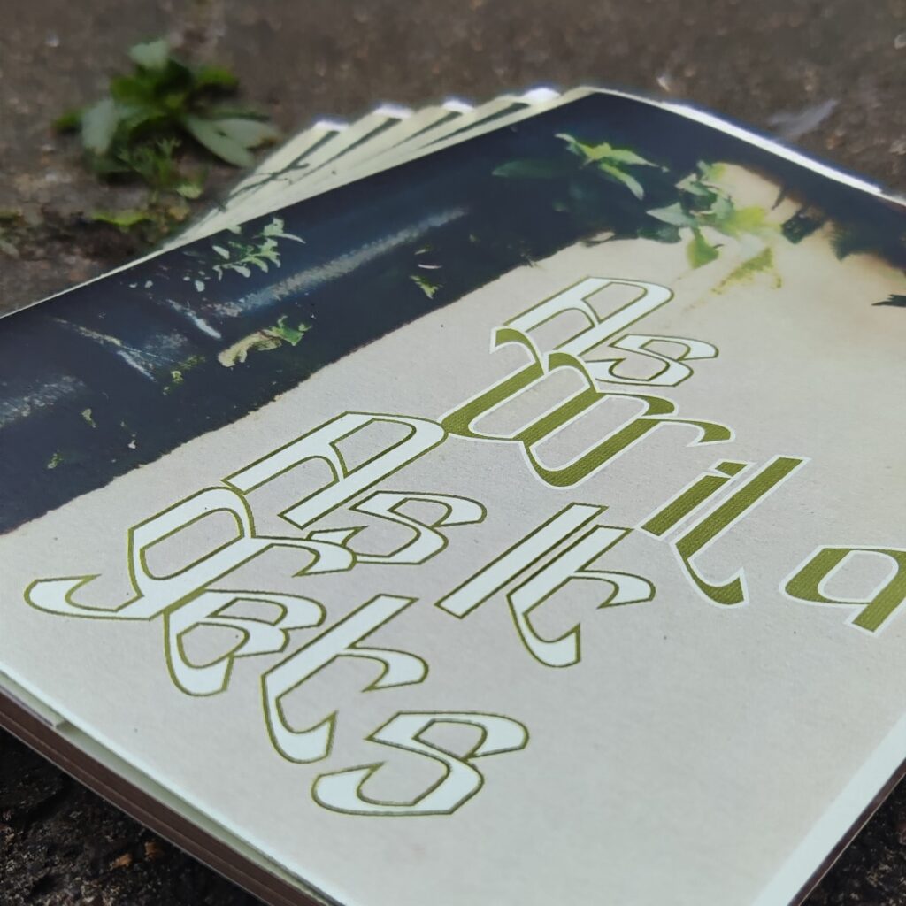AS WILD AS IT GETS zine (2)