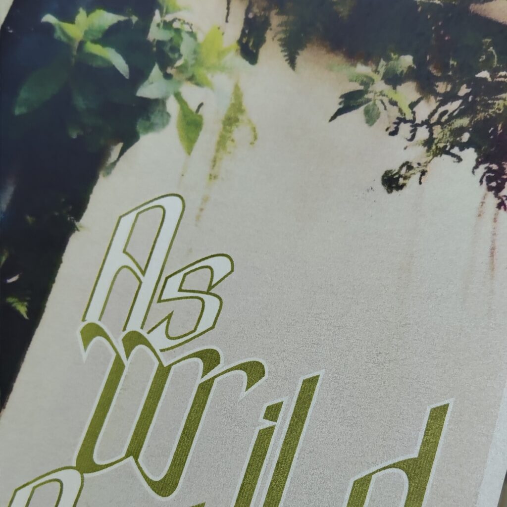AS WILD AS IT GETS zine (3)